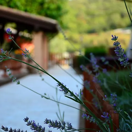 Hotel Sarand Relais-adults Only
